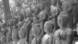 estatuas de Buda