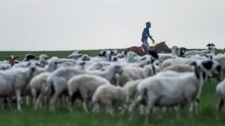 Los pastores de Mongolia del Sur siguen siendo reprimidos